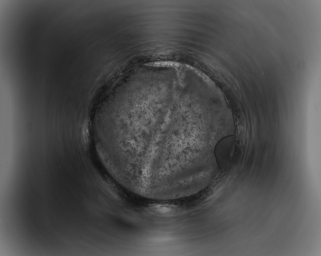 X0000093140654200710101118