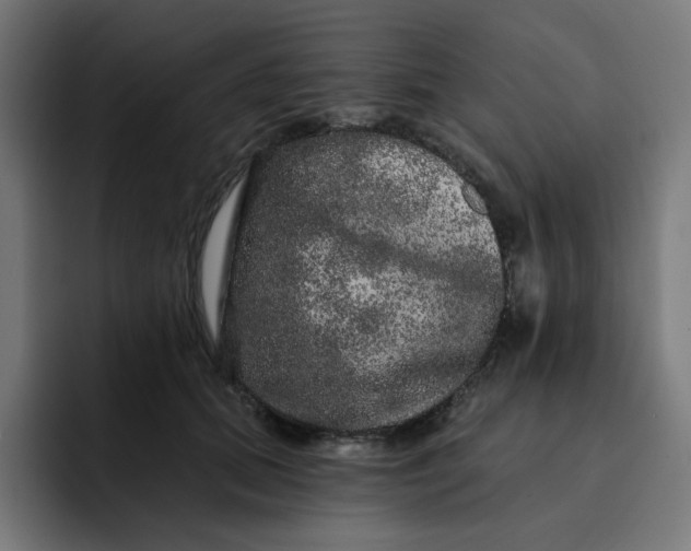 X0000093140655200710101118