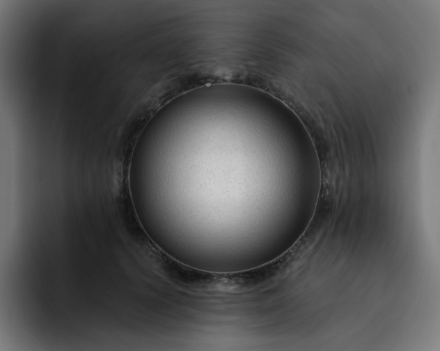 X0000093140656200710101118