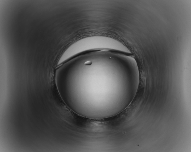 X0000093140657200710101118