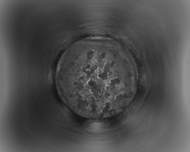 X0000093140658200710101118