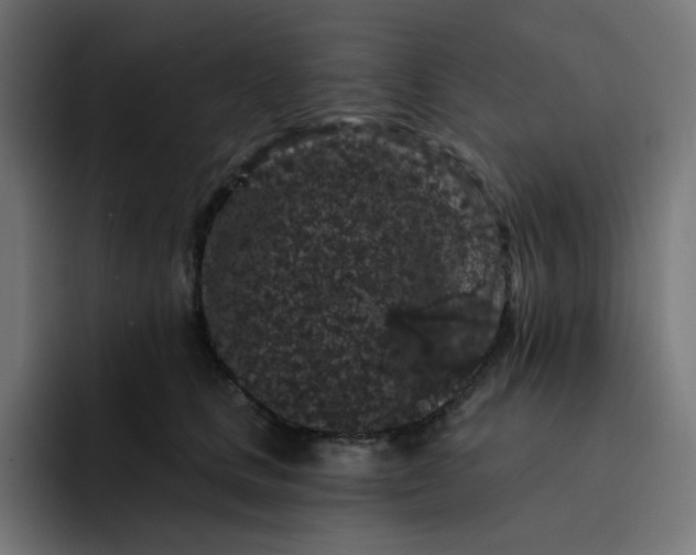 X0000093140661200710101118