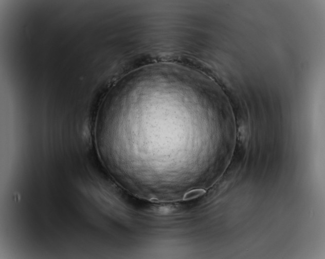 X0000093140662200710101118