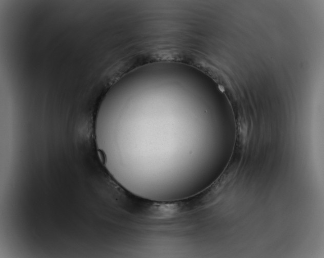 X0000093140665200710101118