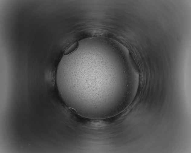 X0000093140666200710101118