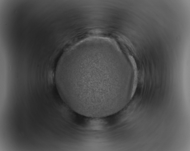 X0000093140669200710101118