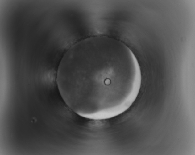 X0000093140672200710101118