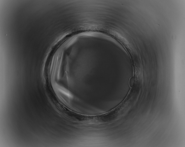 X0000093140674200710101118