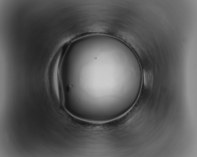 X0000093140675200710101118