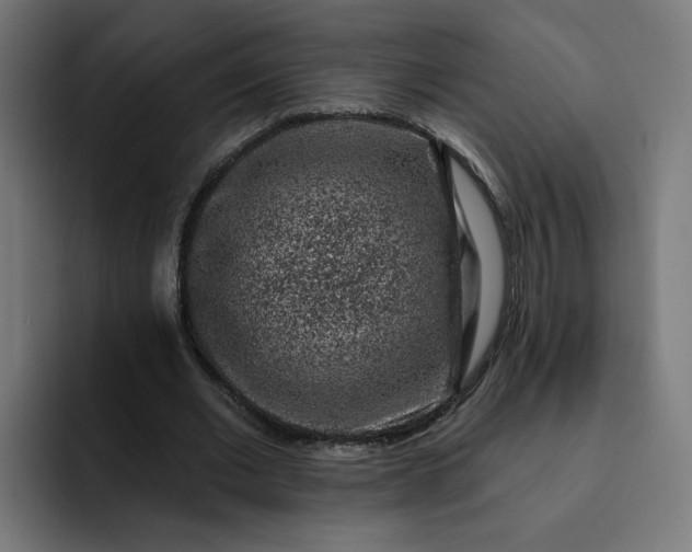 X0000093140677200710101118