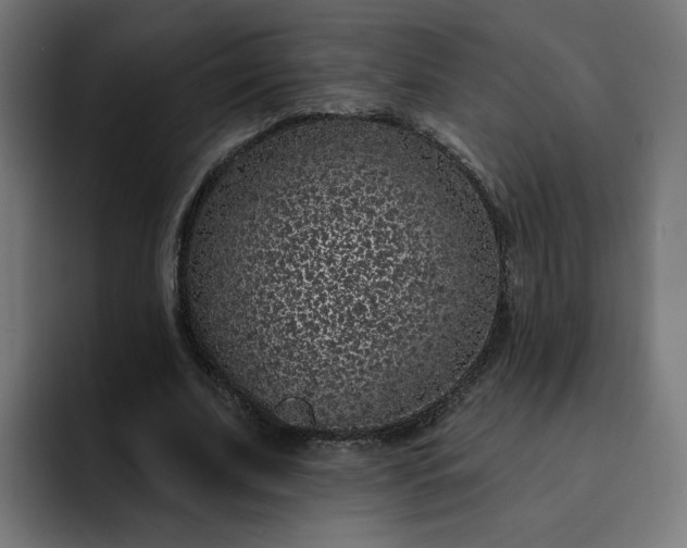 X0000093140679200710101118