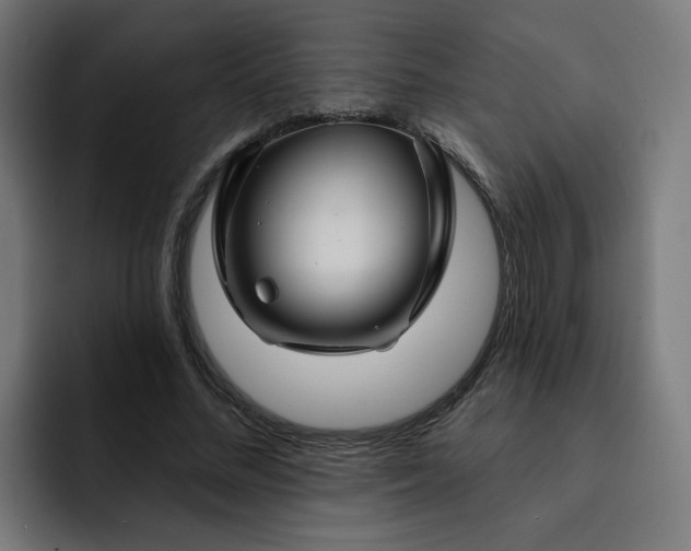 X0000093140684200710101118