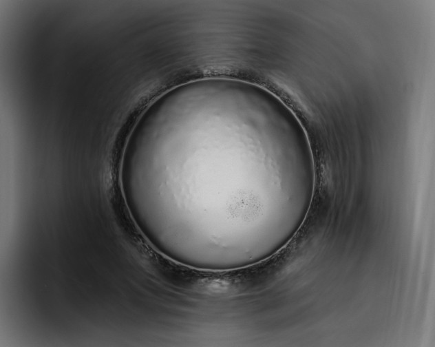 X0000093140687200710101117