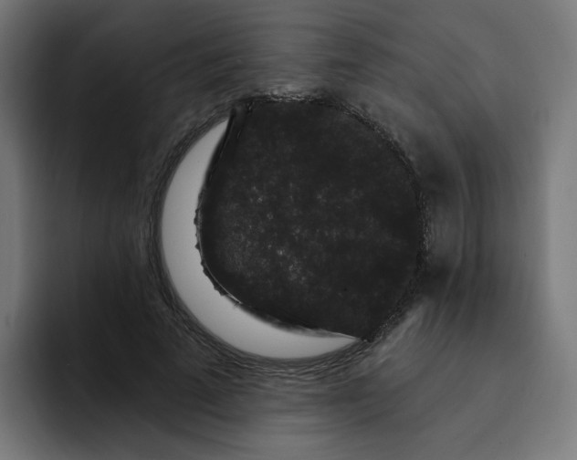 X0000093140689200710101117