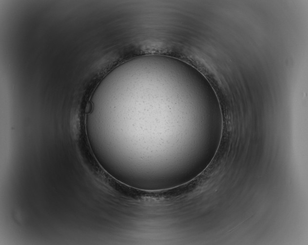 X0000093140690200710101117