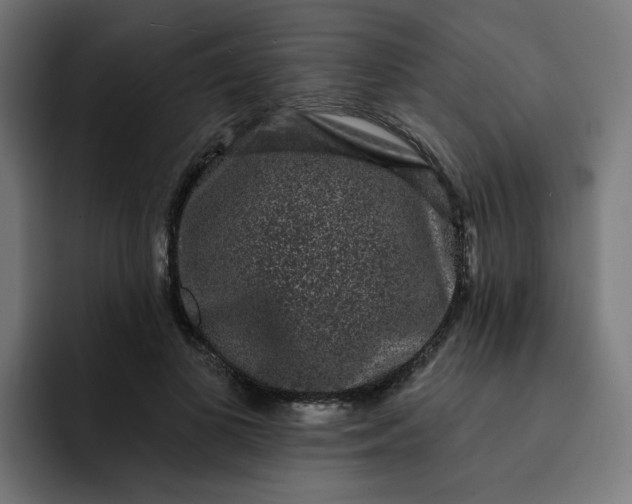 X0000093140693200710101117