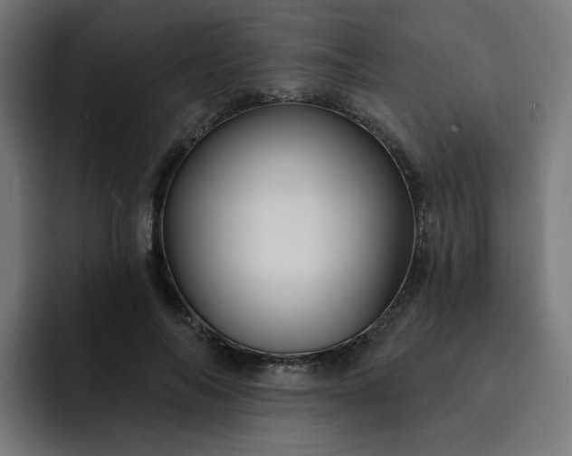 X0000093140694200710101117