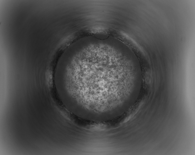 X0000093140696200710101117