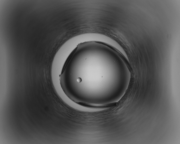 X0000093140697200710101117