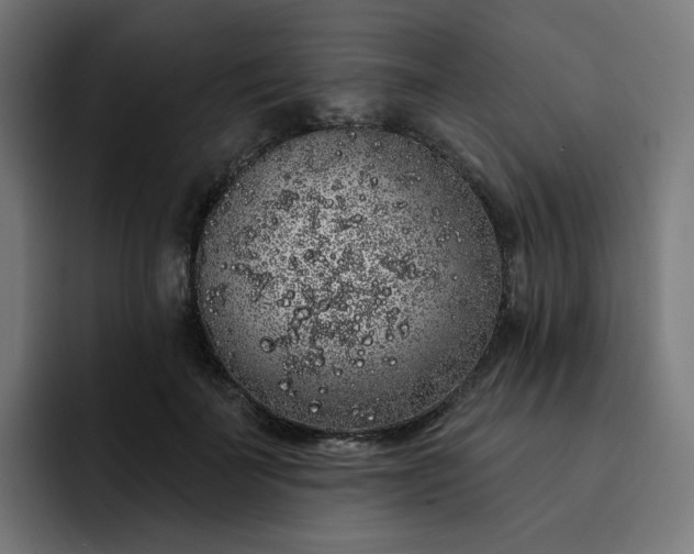 X0000093140699200710101117