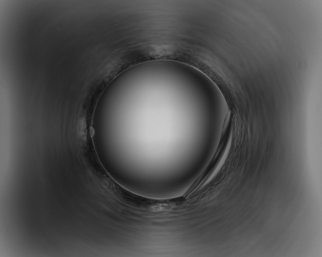 X0000093140700200710101117