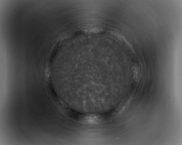 X0000093140701200710101117