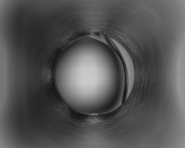 X0000093140704200710101117