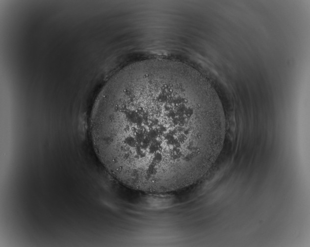 X0000093140707200710101117