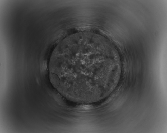 X0000093140711200710101117