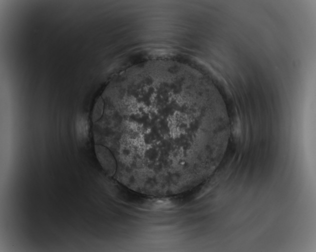 X0000093140715200710101117