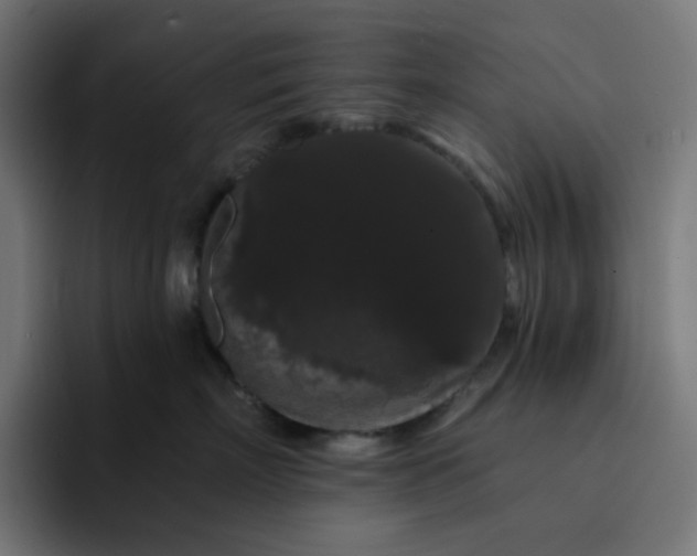 X0000093140718200710101117