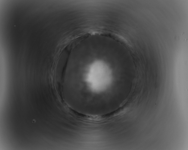 X0000093140720200710101117