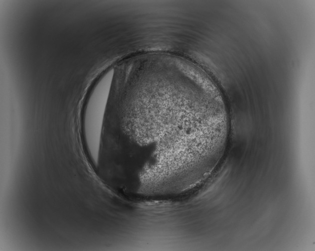 X0000093140721200710101117