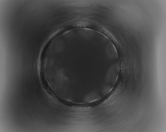 X0000093140722200710101117