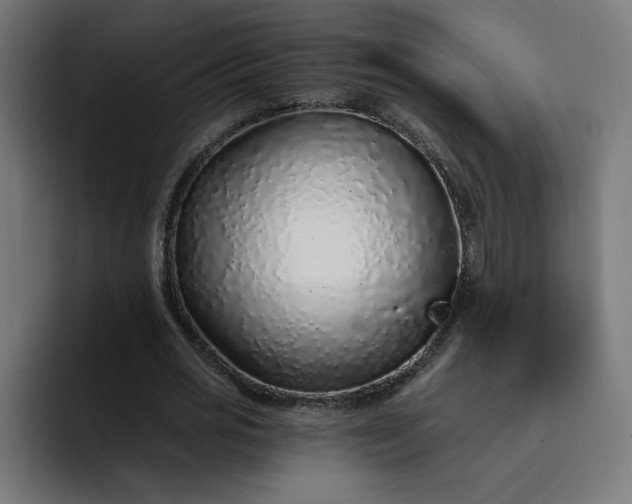 X0000093140725200710101117