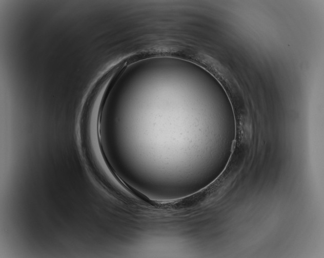 X0000093140726200710101117