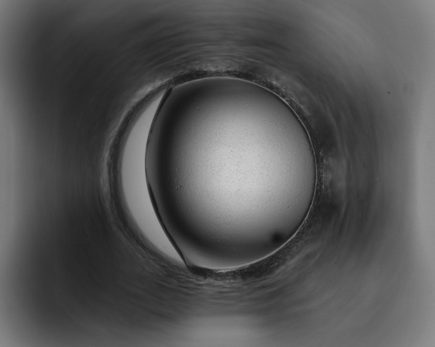 X0000093140727200710101117