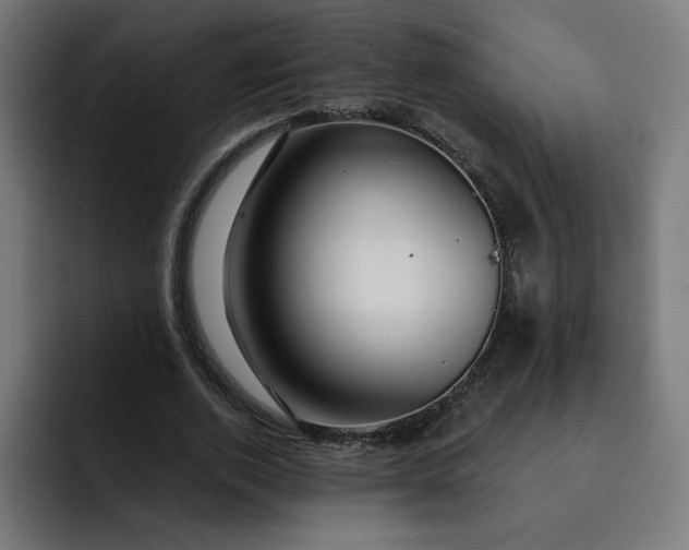 X0000093140728200710101117