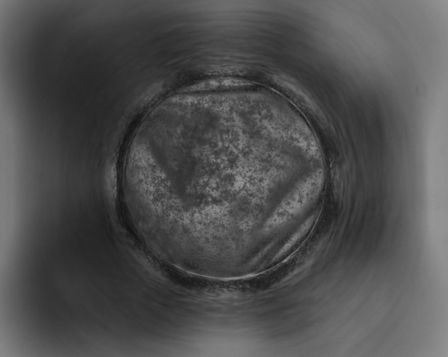 X0000093140729200710101117