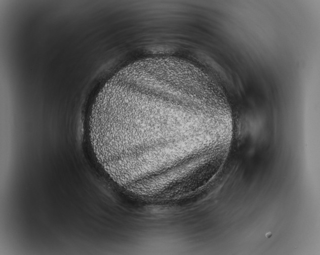 X0000093140733200710101117