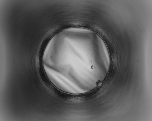 X0000093140734200710101117