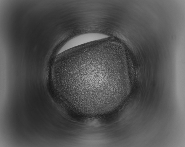 X0000093140735200710101117