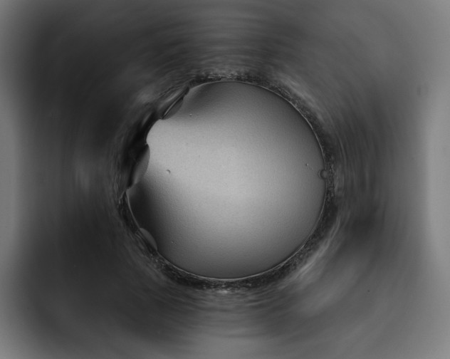 X0000093140737200710101117