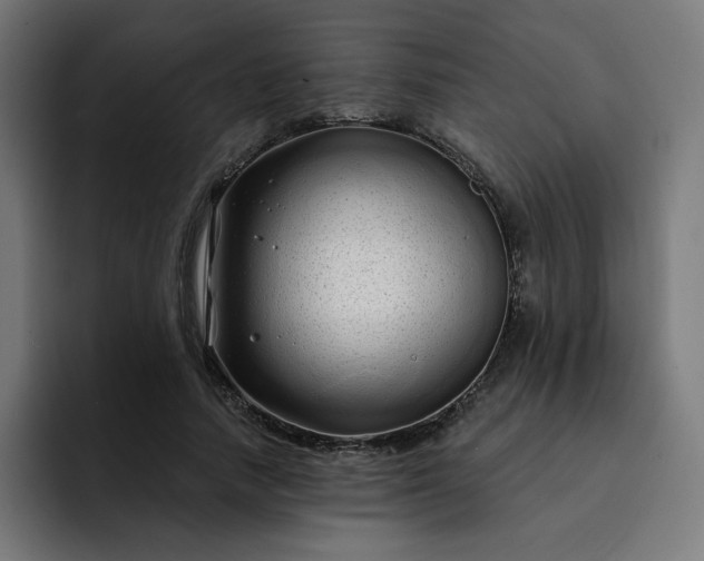 X0000093140738200710101117