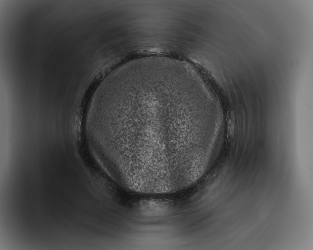 X0000093140739200710101117