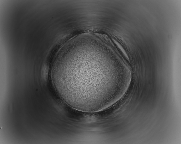 X0000093140742200710101117