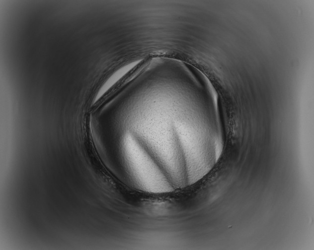 X0000093140743200710101117