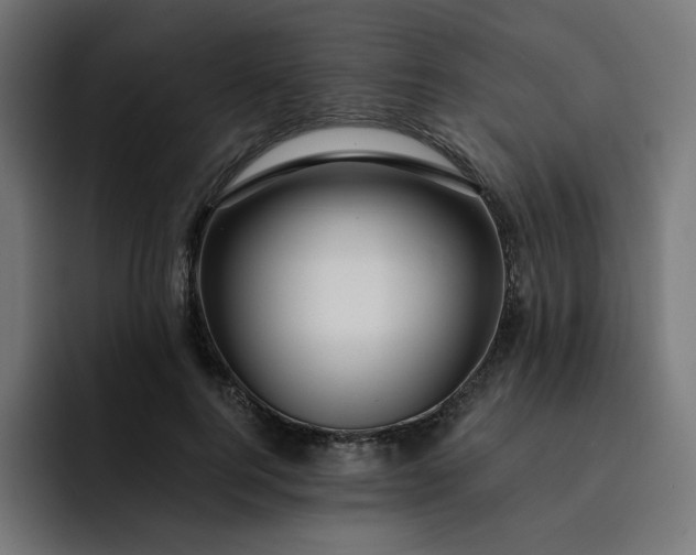 X0000093140744200710101117