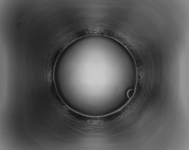 X0000093140745200710101117