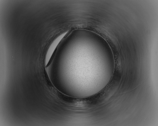 X0000093140746200710101117